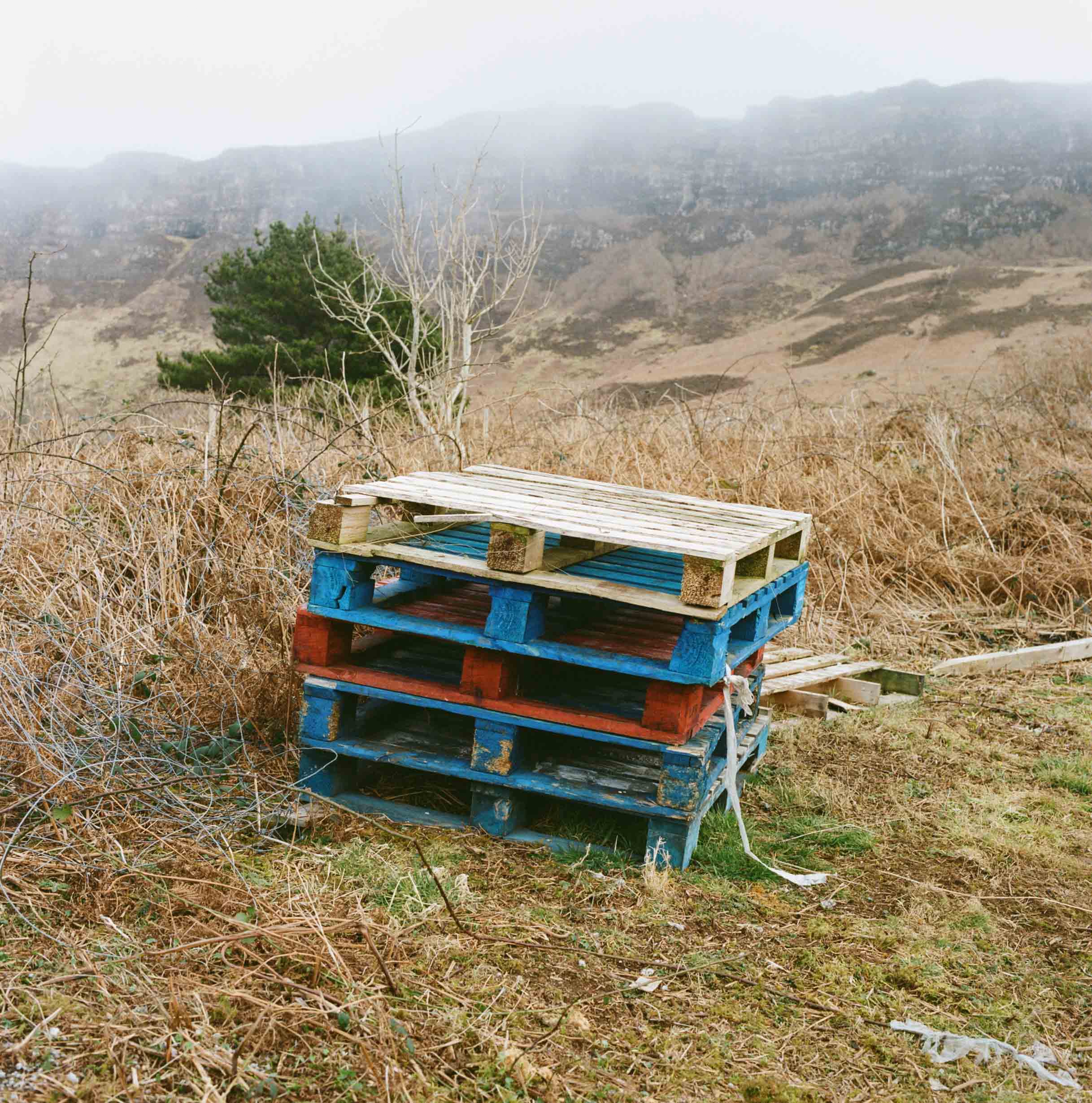 Eigg, Study of an island